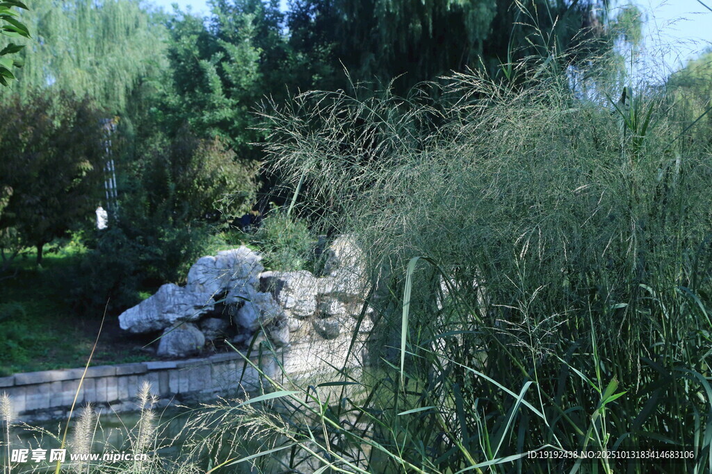 公园风景  