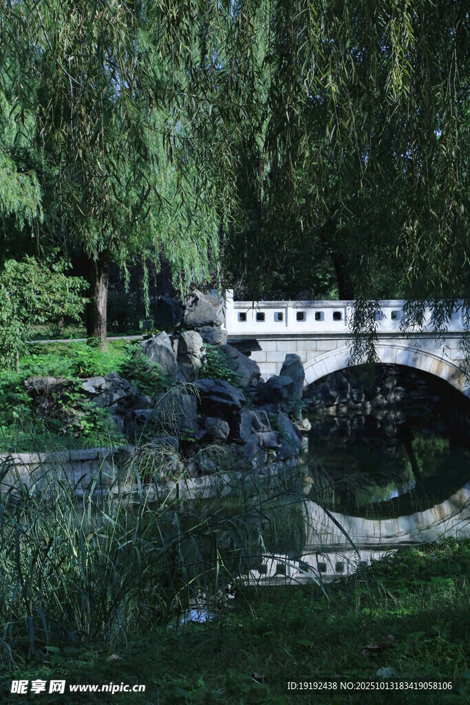 公园风景  