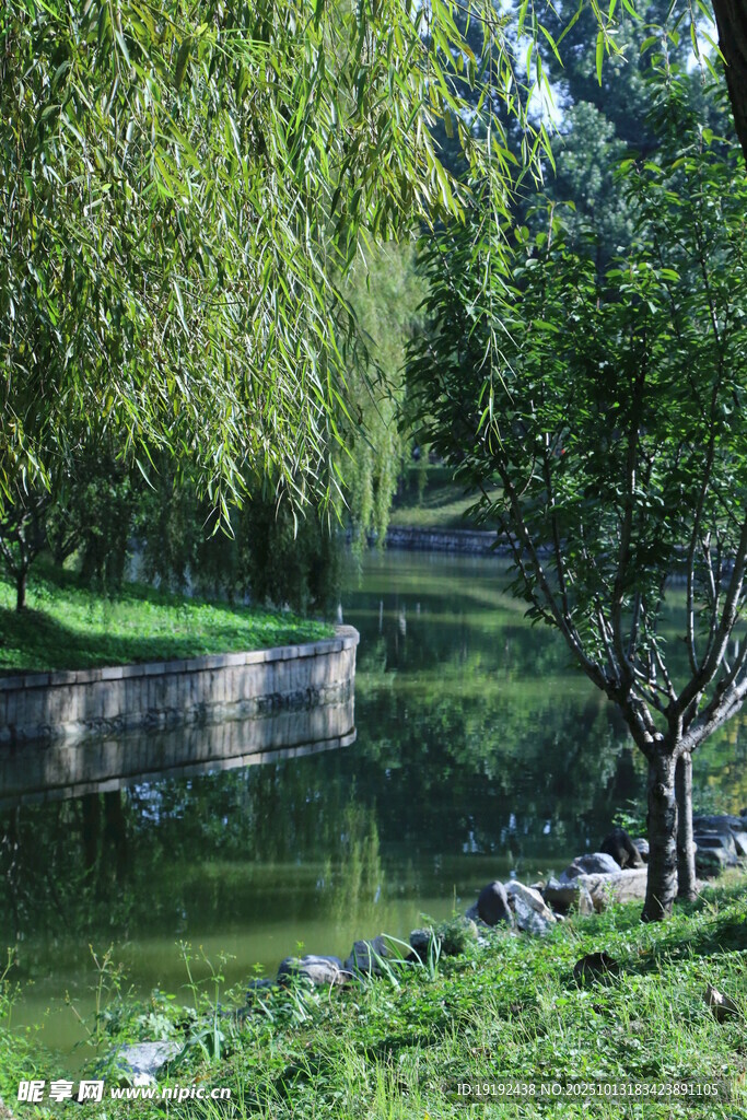 公园风景  