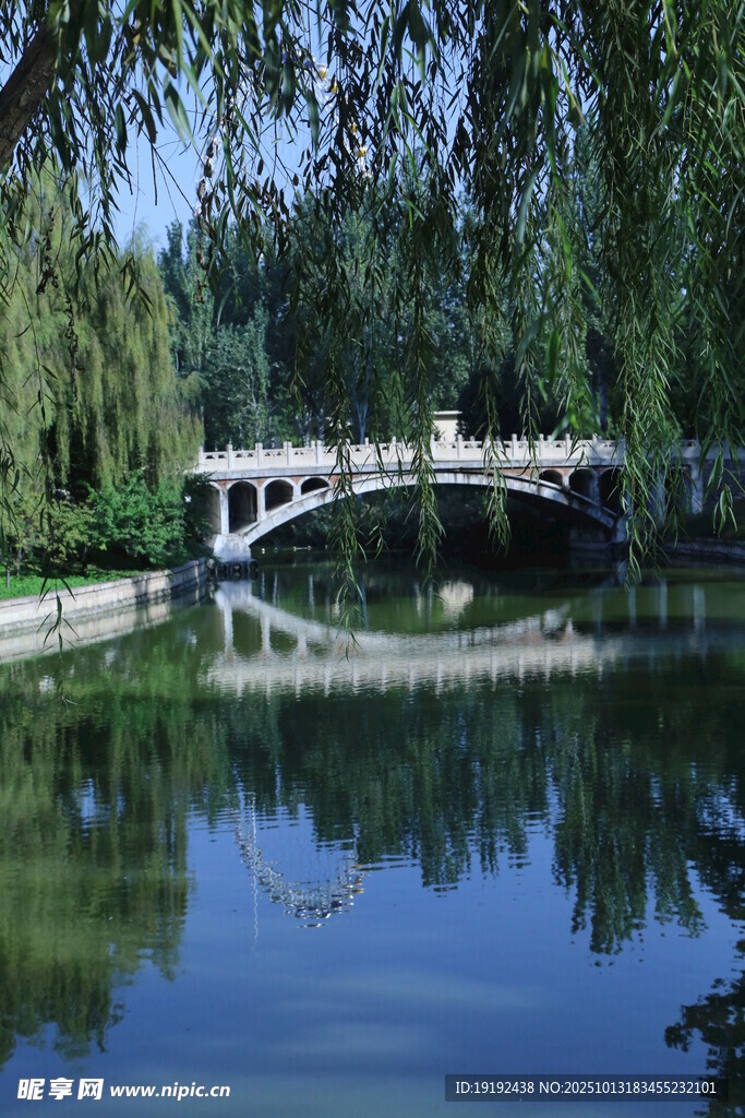 公园风景  