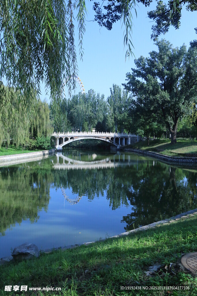 公园风景 