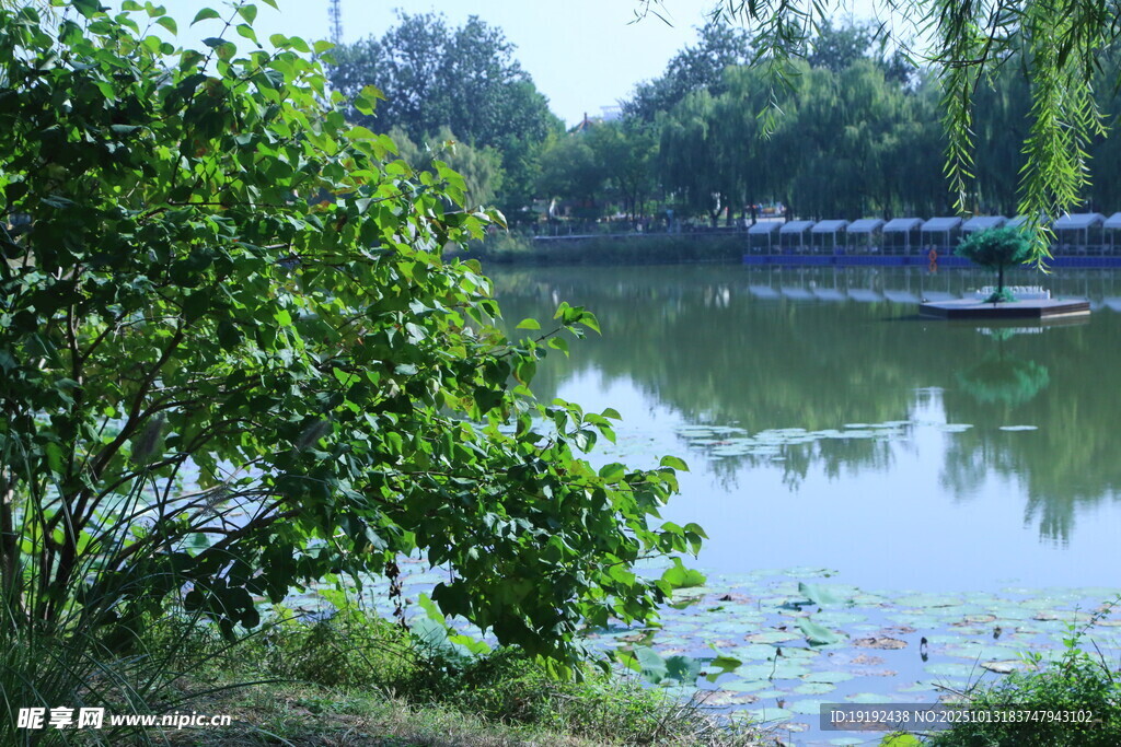 公园风景 