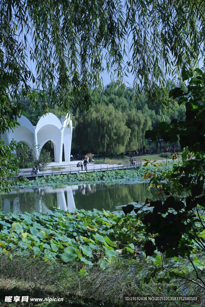公园风景  