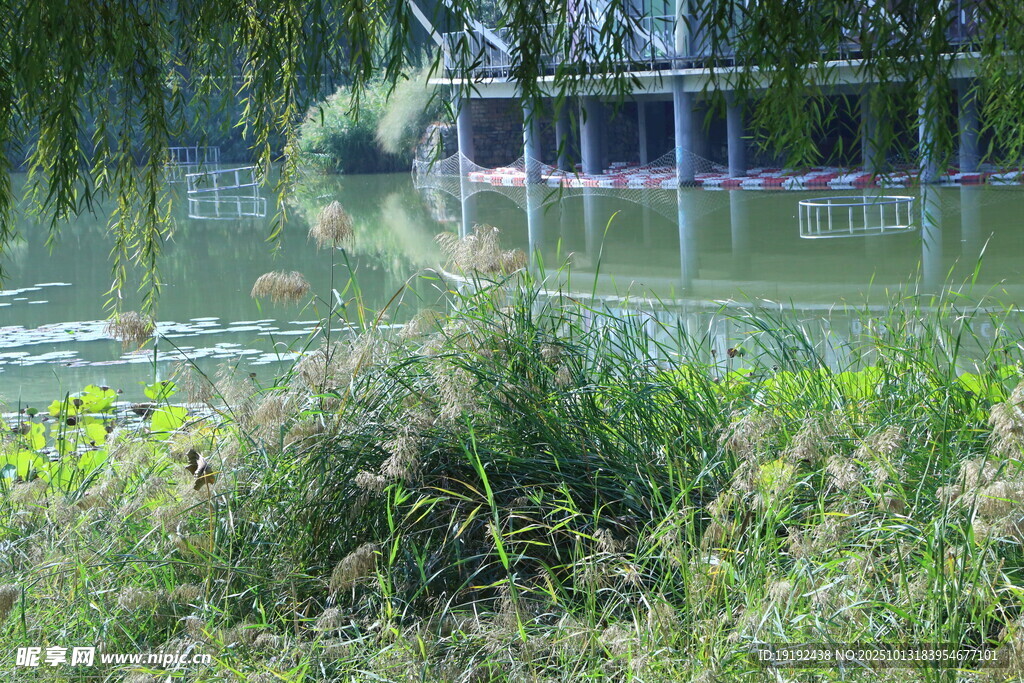 公园风景  