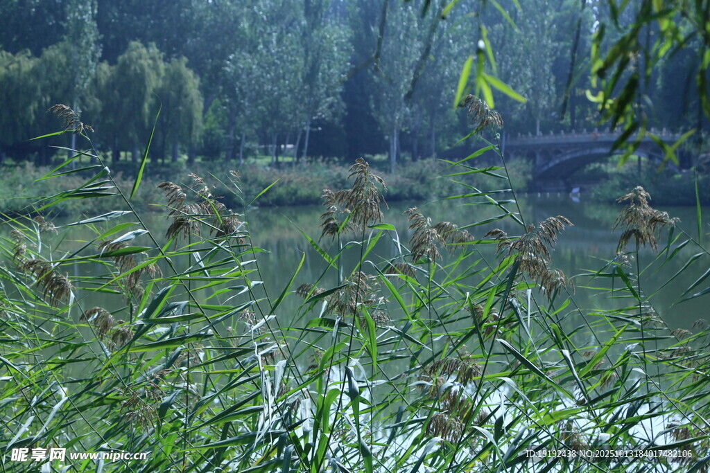 公园风景 