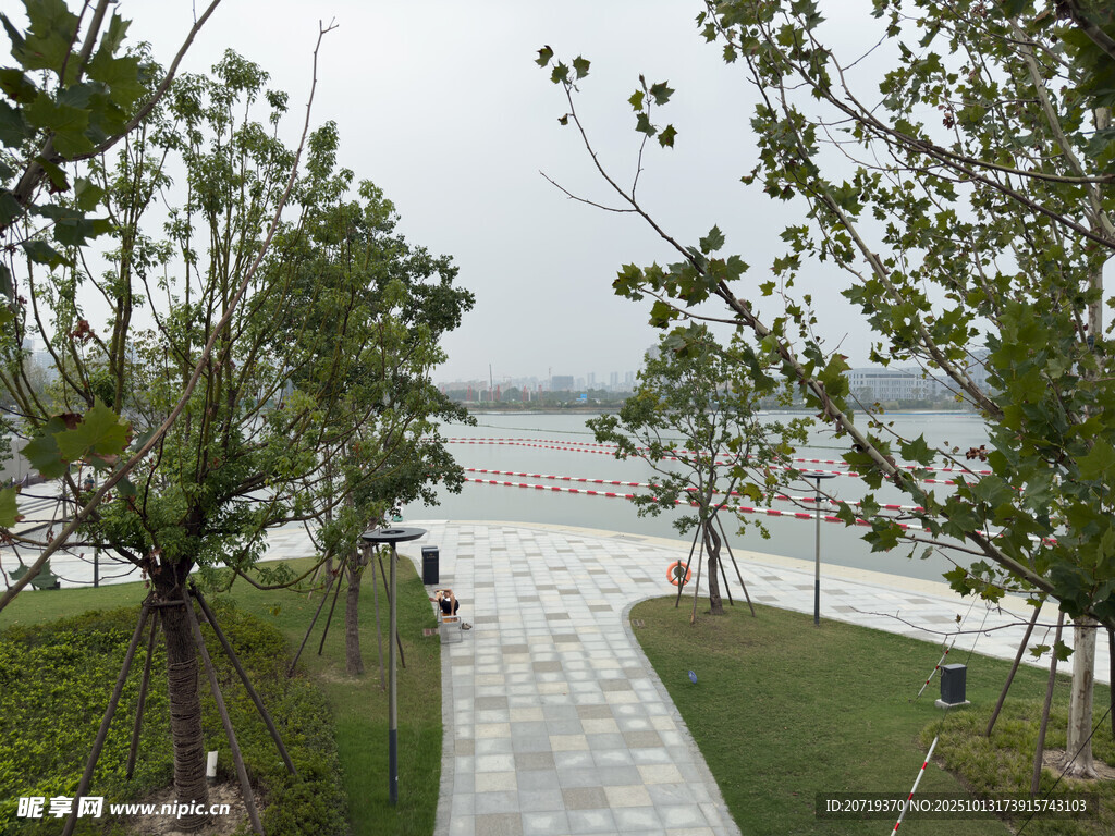 湖畔林荫小道风景