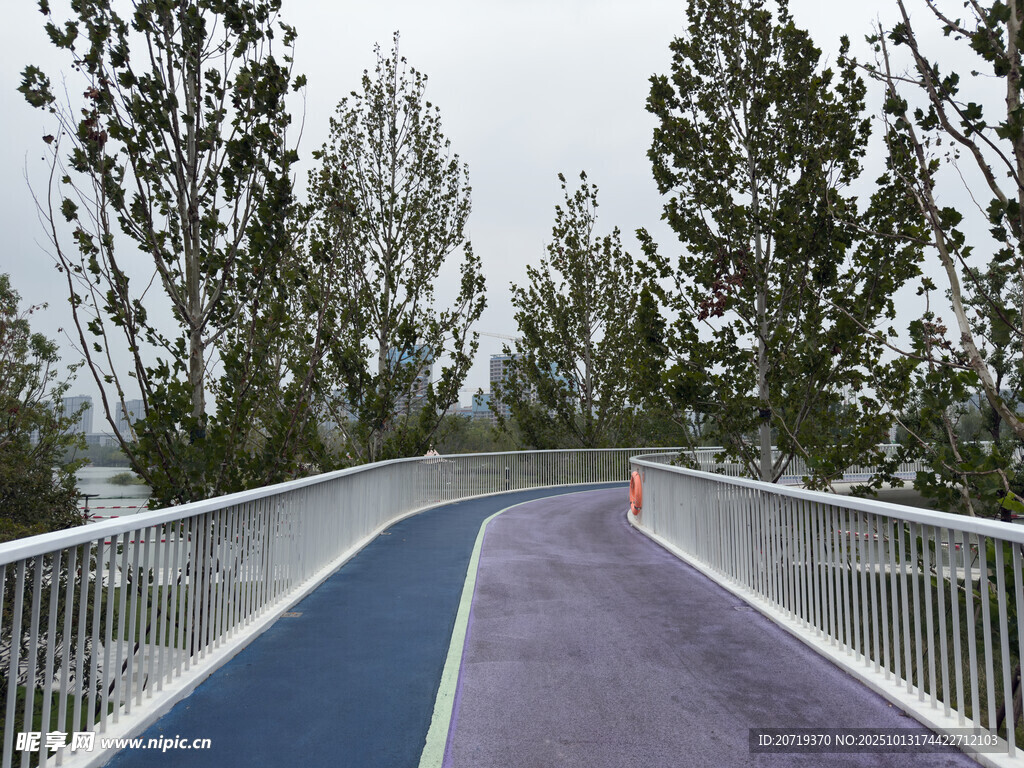彩色步道与周边绿树景观