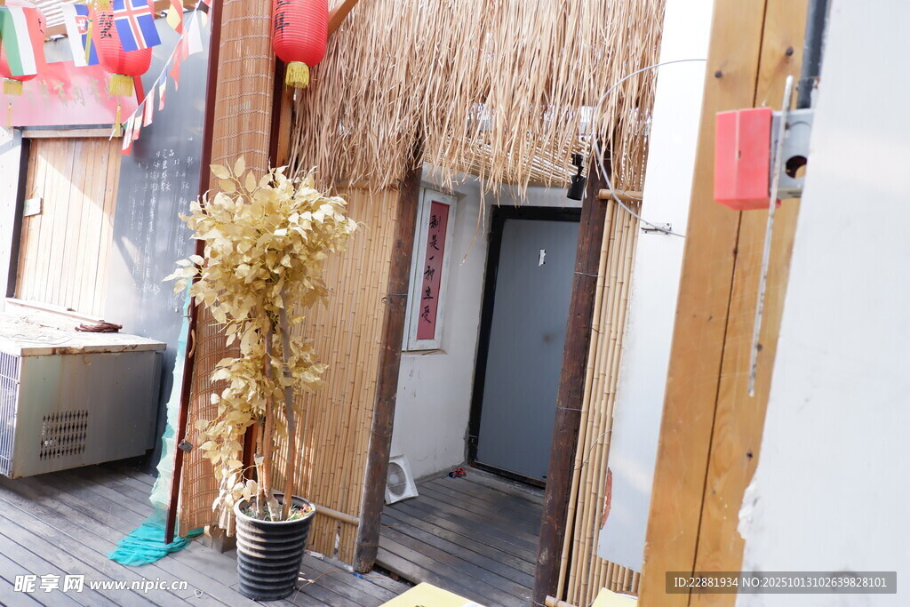  小屋竹子