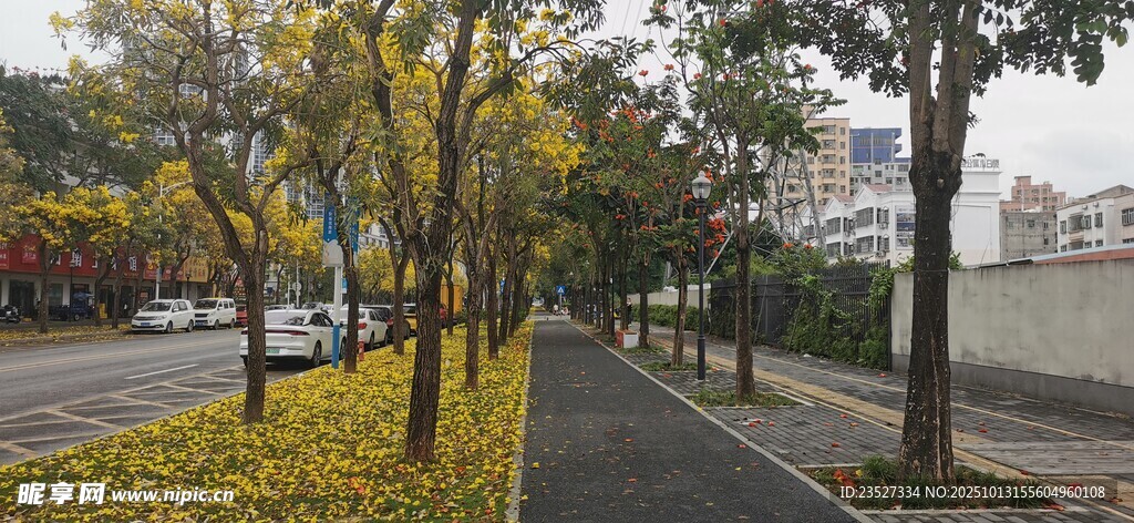 春天里的城市街道