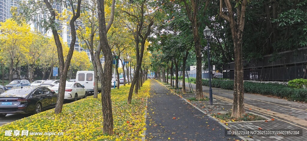 春天里的城市街道