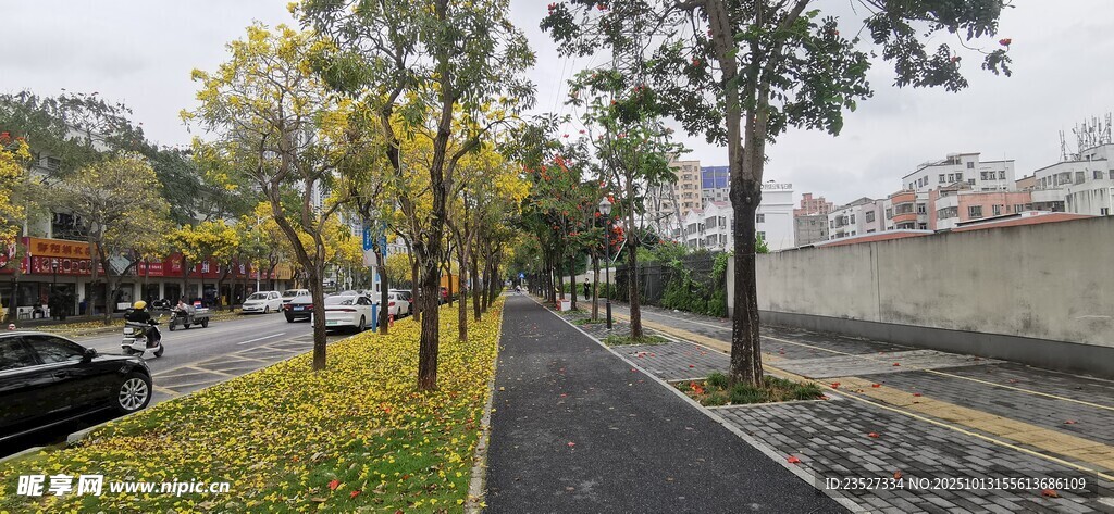 春天里的城市街道
