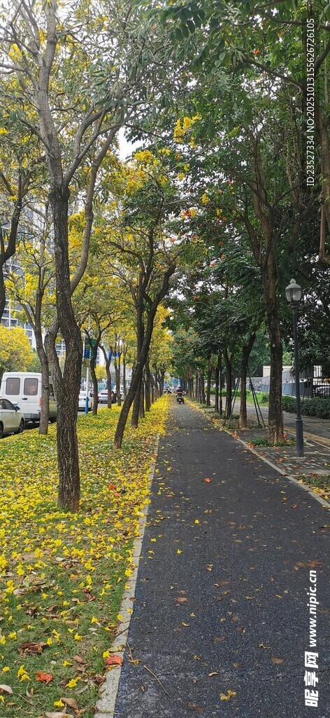 春天里的城市街道