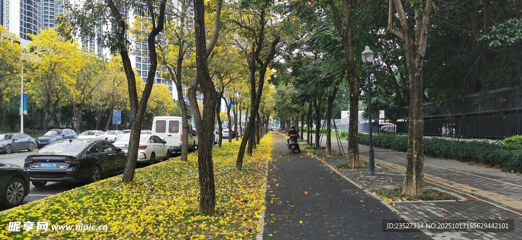 春天里的城市街道