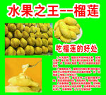 水果榴莲海报
