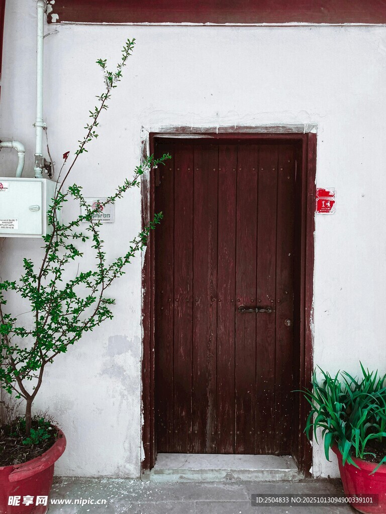 门边绿植装点的素雅场景