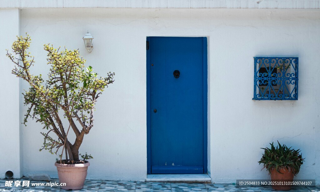 蓝门白墙的清新庭院角落