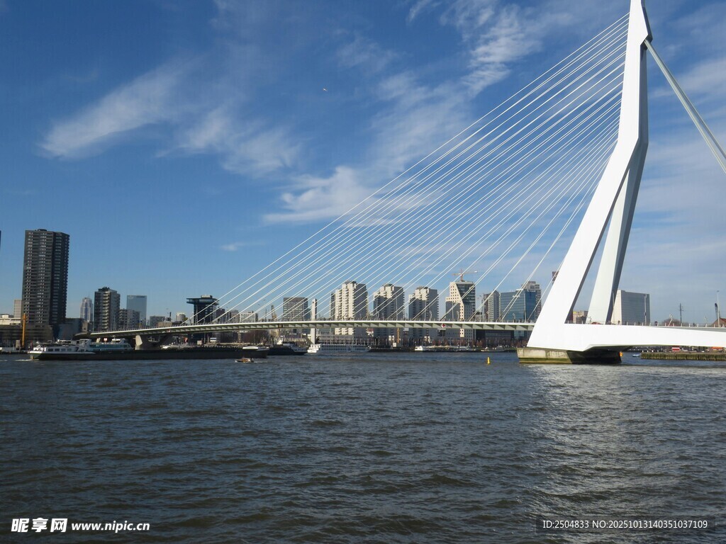 伊拉斯谟斯大桥城市风景