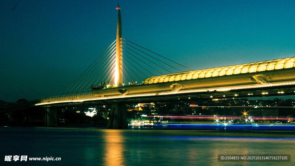 夜晚璀璨大桥景观