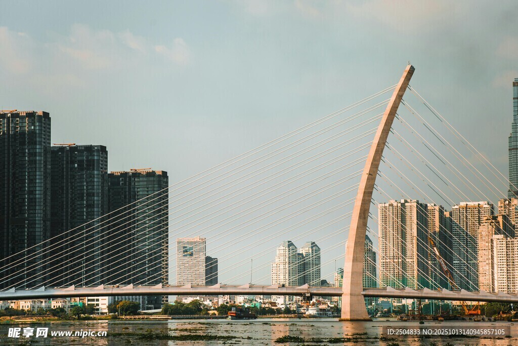 城市桥梁与林立高楼景观