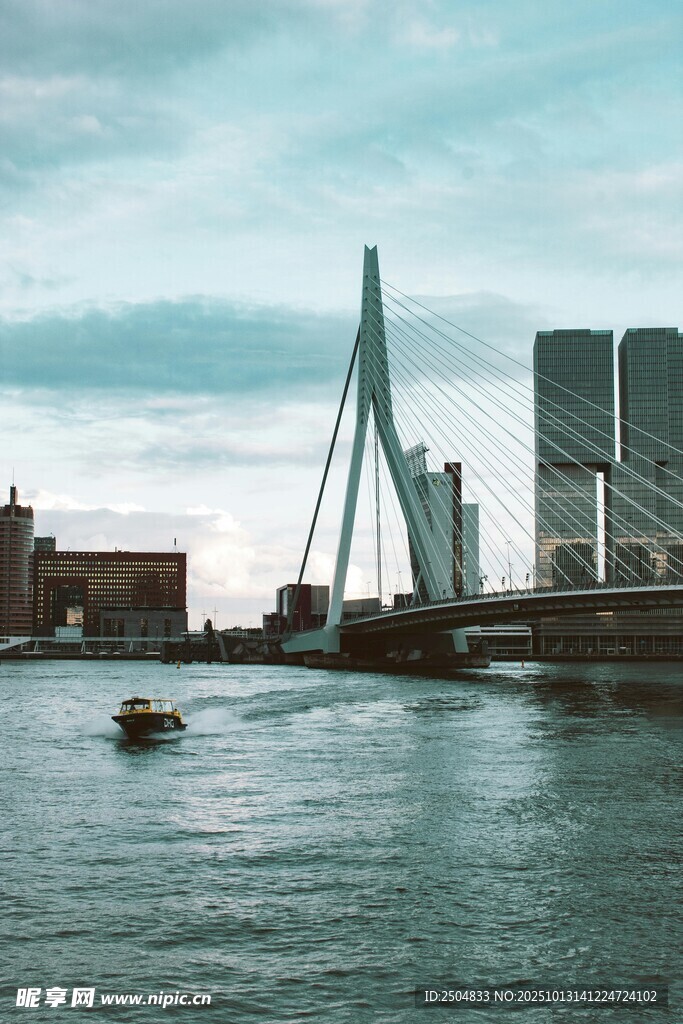 鹿特丹伊 斯谟斯大桥景观