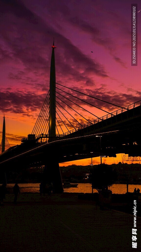 夕阳下的桥梁壮丽景观