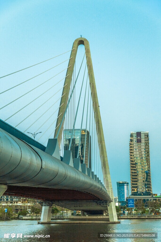 城市桥梁与高楼景观