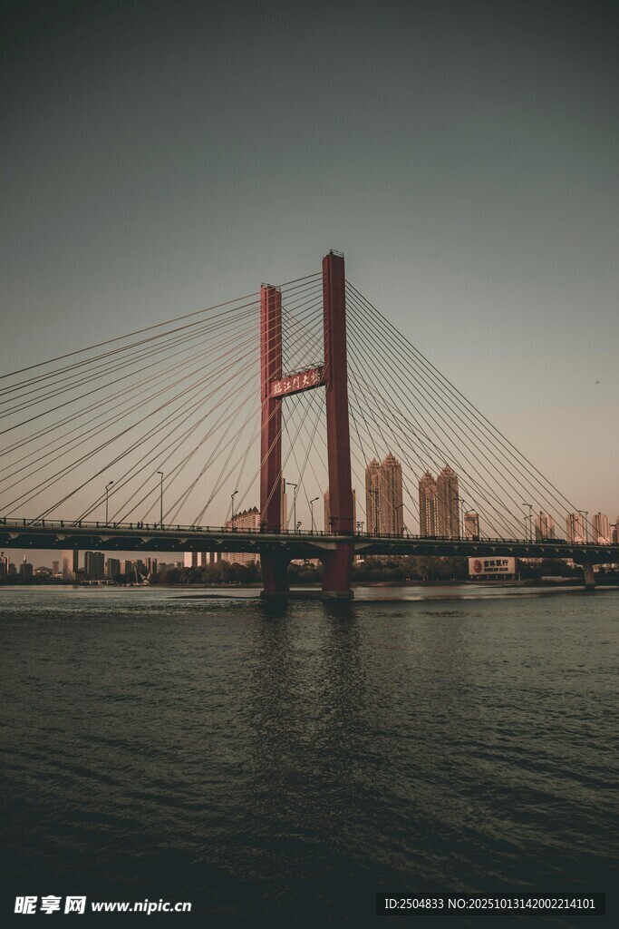 城市跨江大桥夜景风光