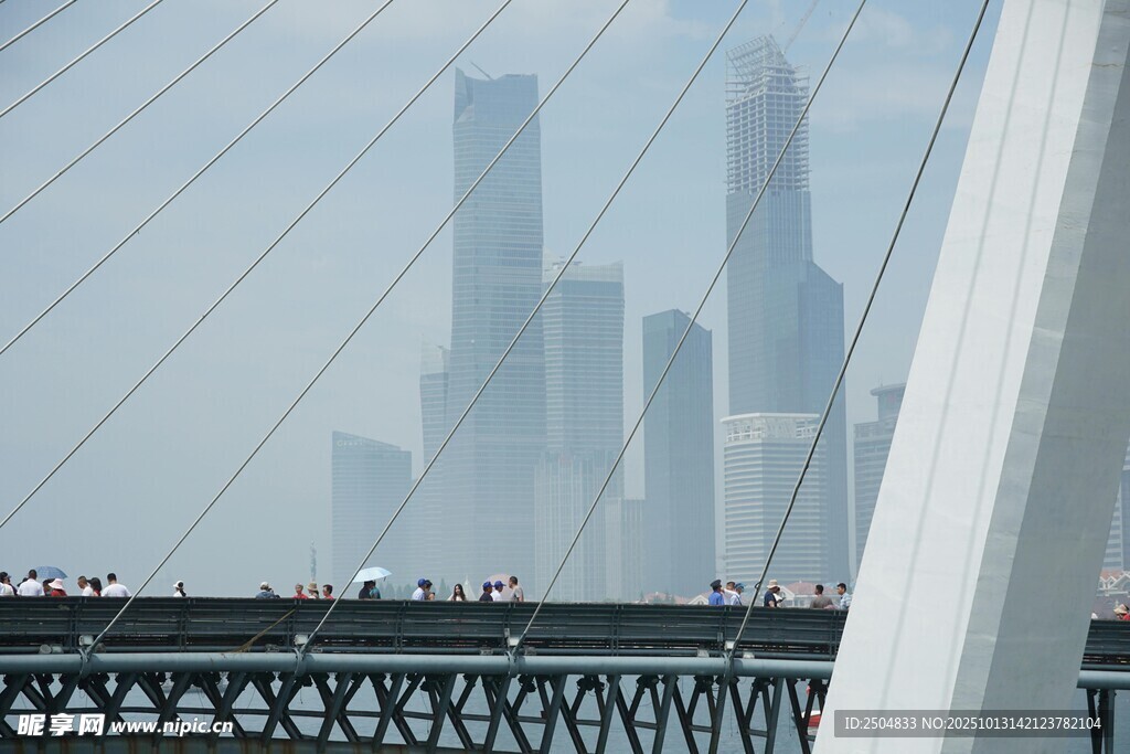 上海城市桥梁与摩天大楼景