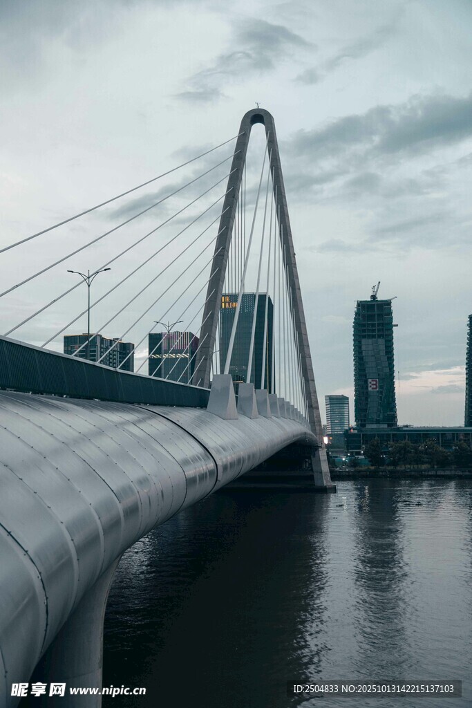 城市桥梁横跨水面景观