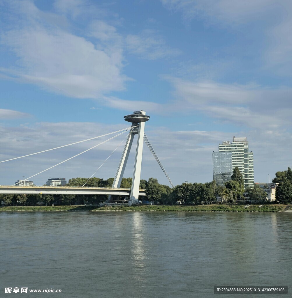 多瑙河上的现代桥梁景观