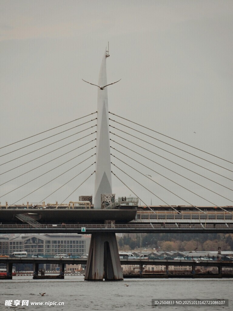 现代斜 桥横跨宽阔水面
