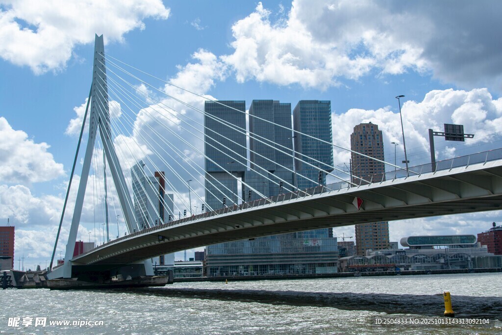 鹿特丹伊 斯谟斯大桥风景