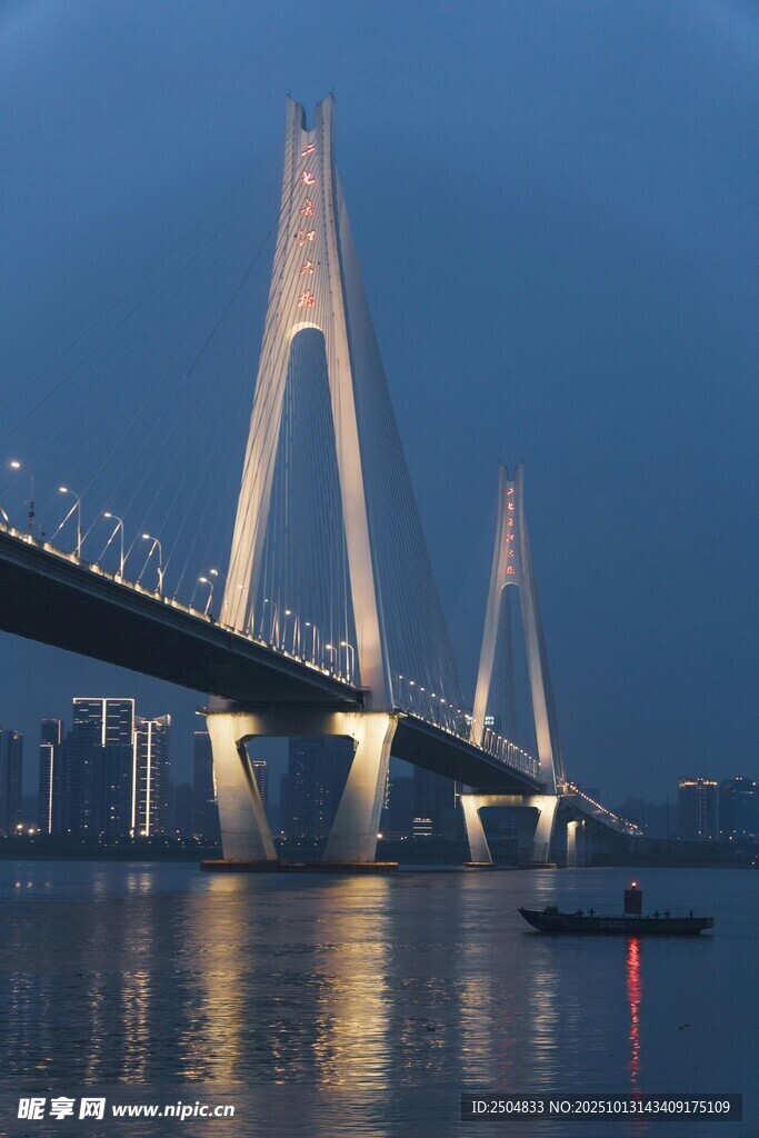 夜幕下的壮丽跨海大桥