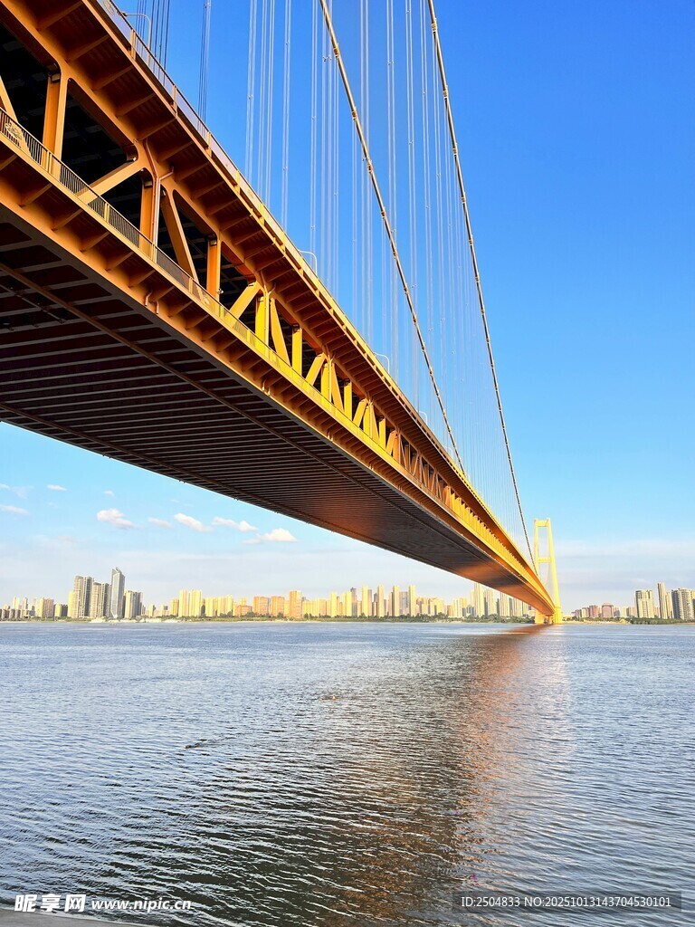 壮丽跨江大桥俯瞰美景