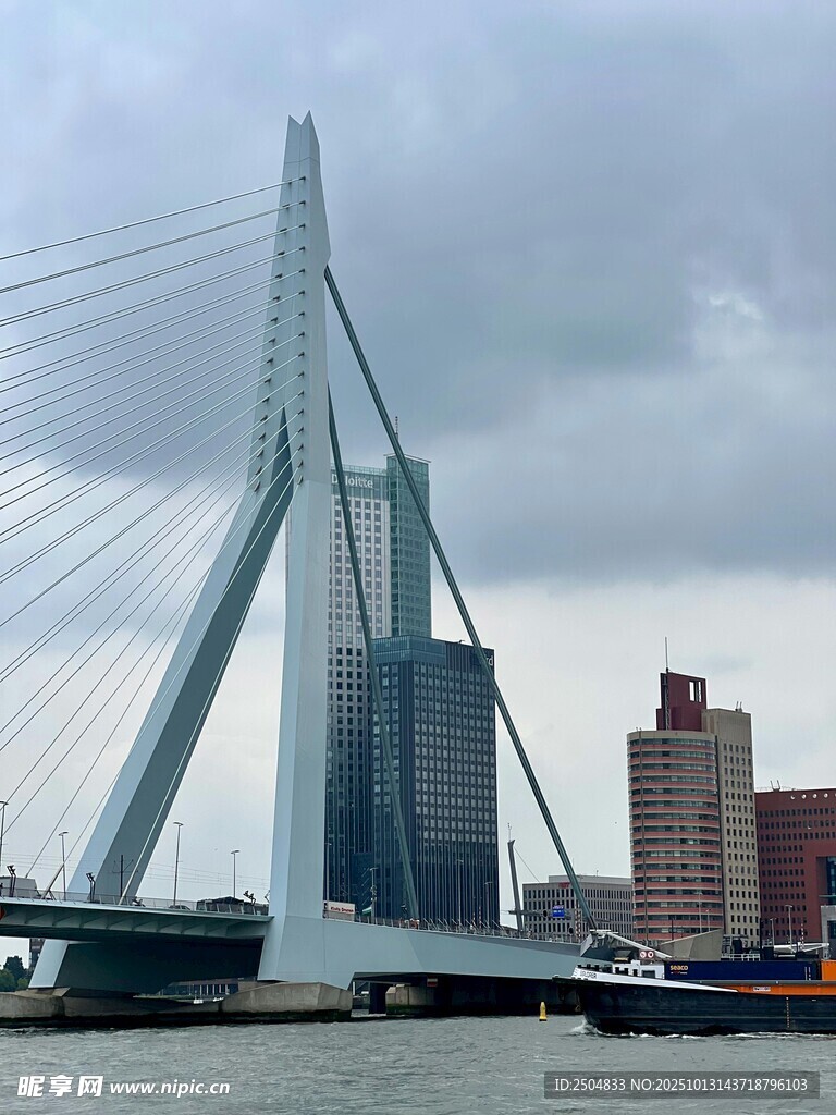 伊 斯谟斯大桥城市景观