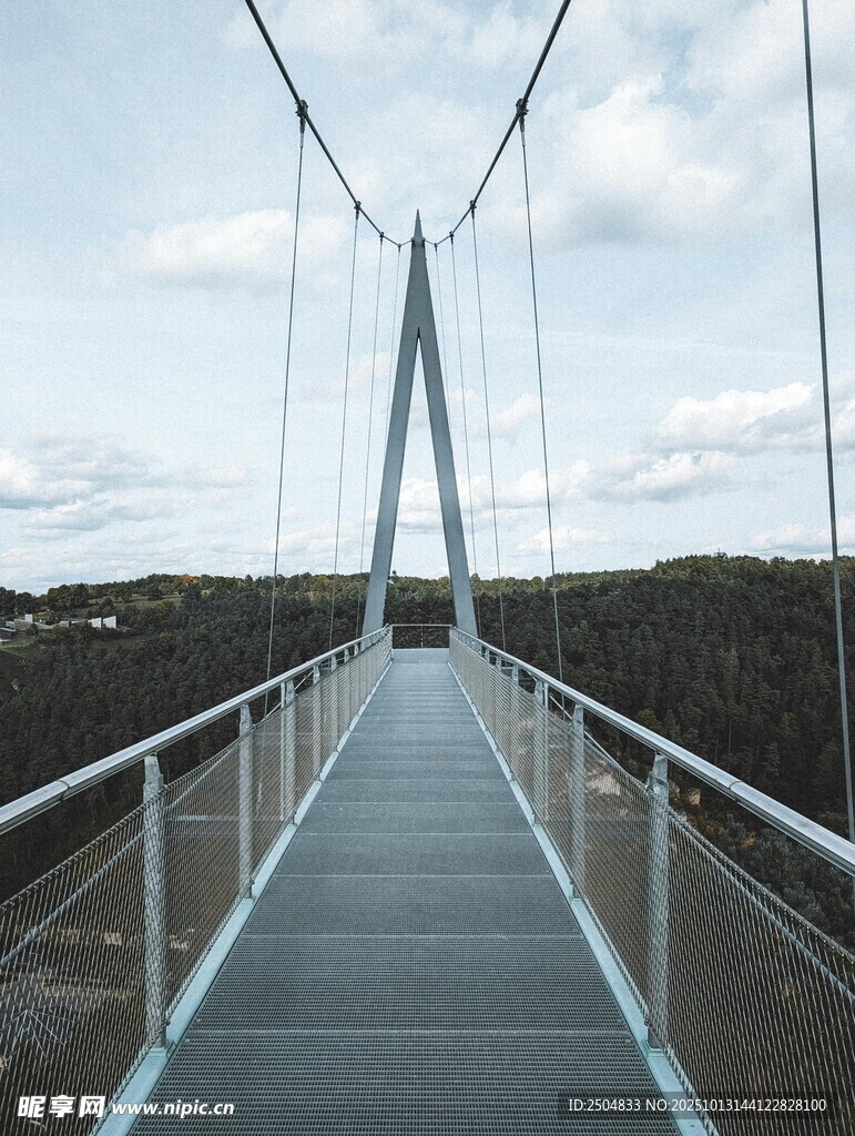 现代悬索桥景观