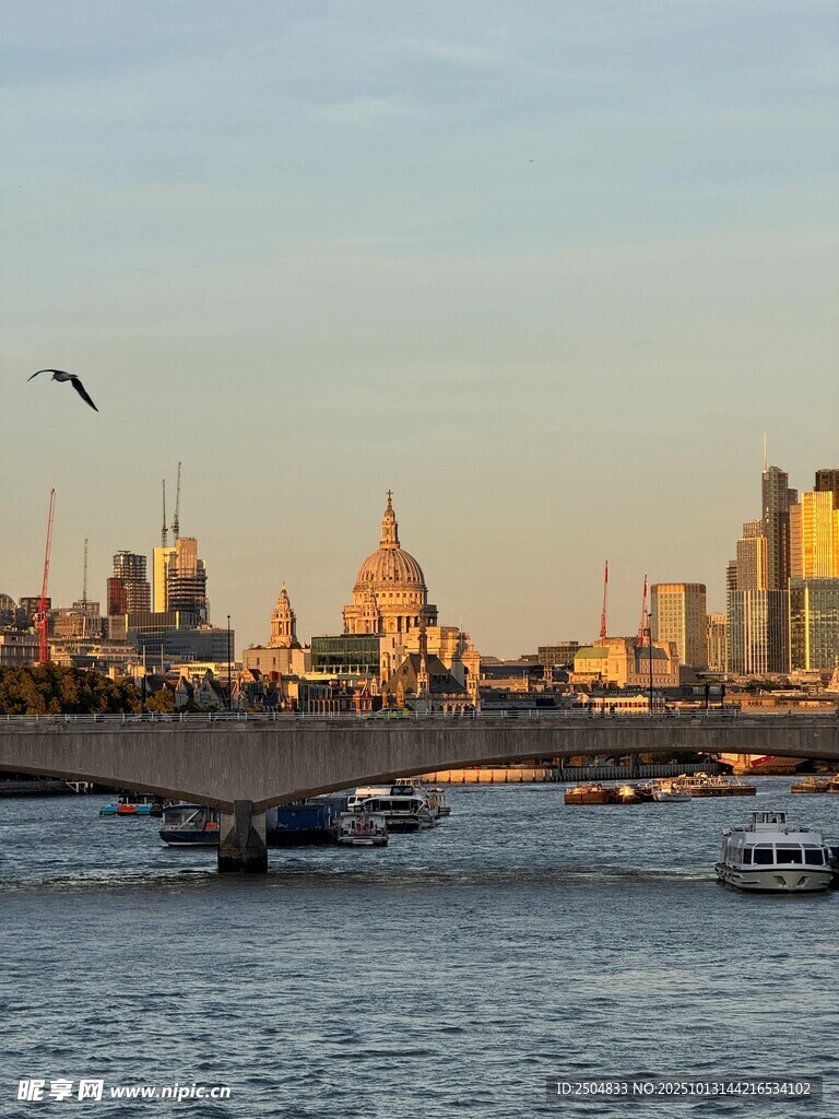 河畔城市风光与飞翔飞鸟