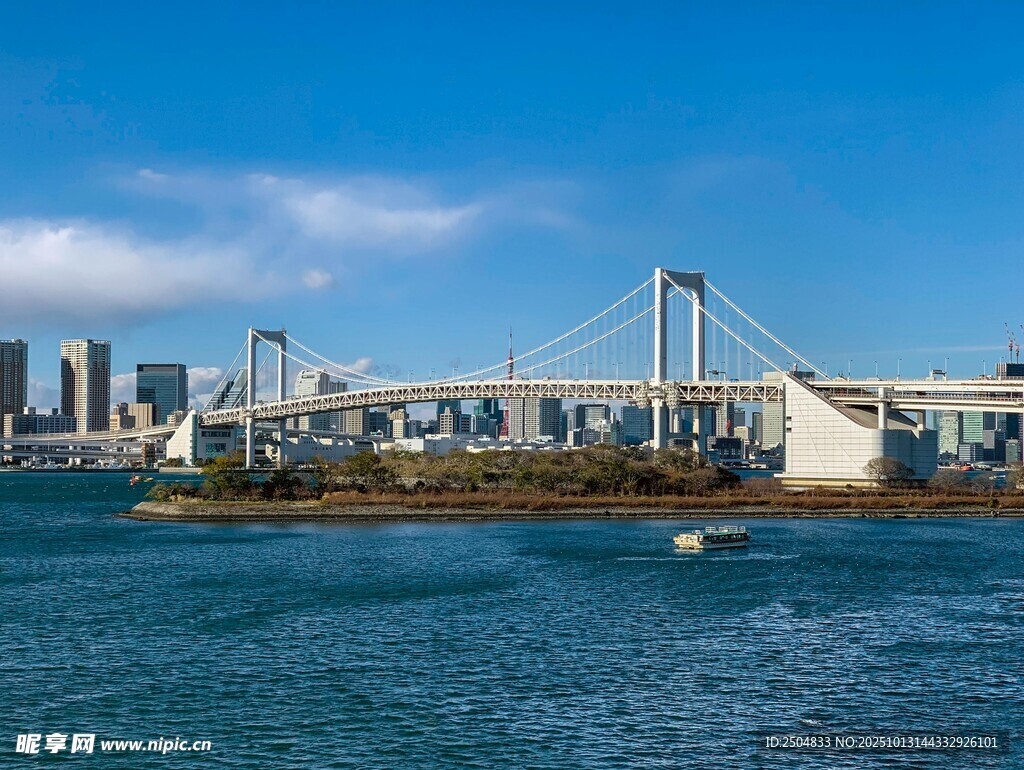海湾大桥与城市天际线