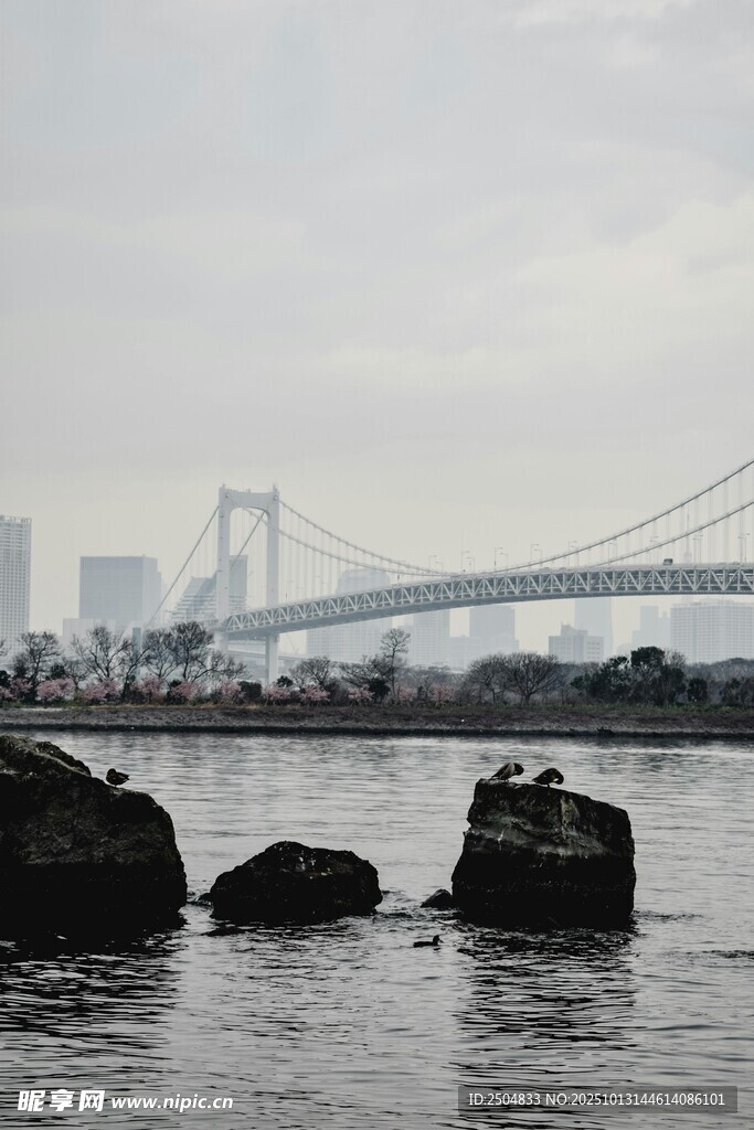 河畔大桥与水中礁石景观
