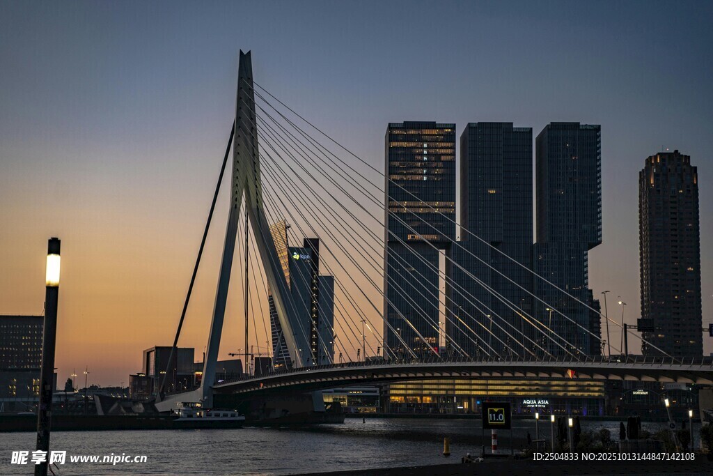 鹿特丹伊 斯谟斯桥城市夜景