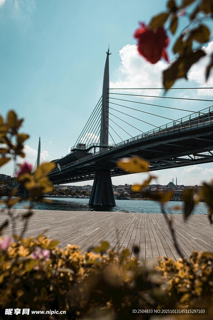 河畔桥梁与烂漫花卉景观