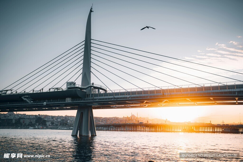 夕阳下的现代桥梁美景