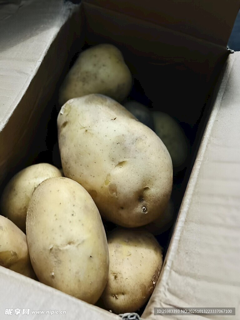 土豆