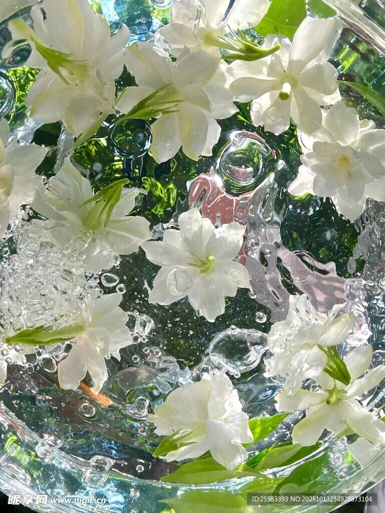 花卉背景