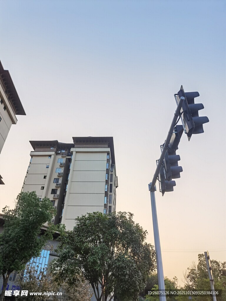 城市中的交通信号灯与建筑