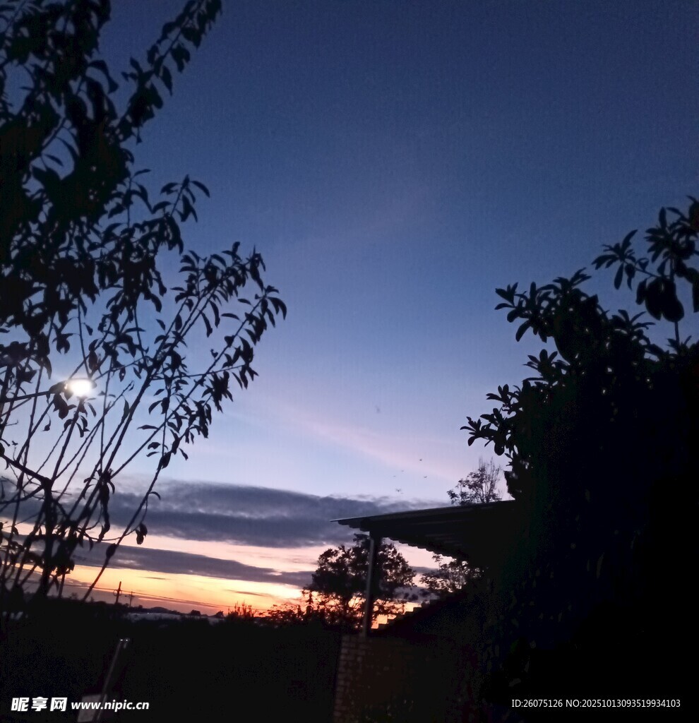 黄昏时分的树梢与天空