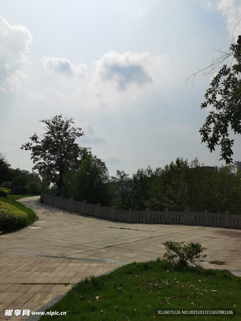 户外开阔的道路与绿植景观