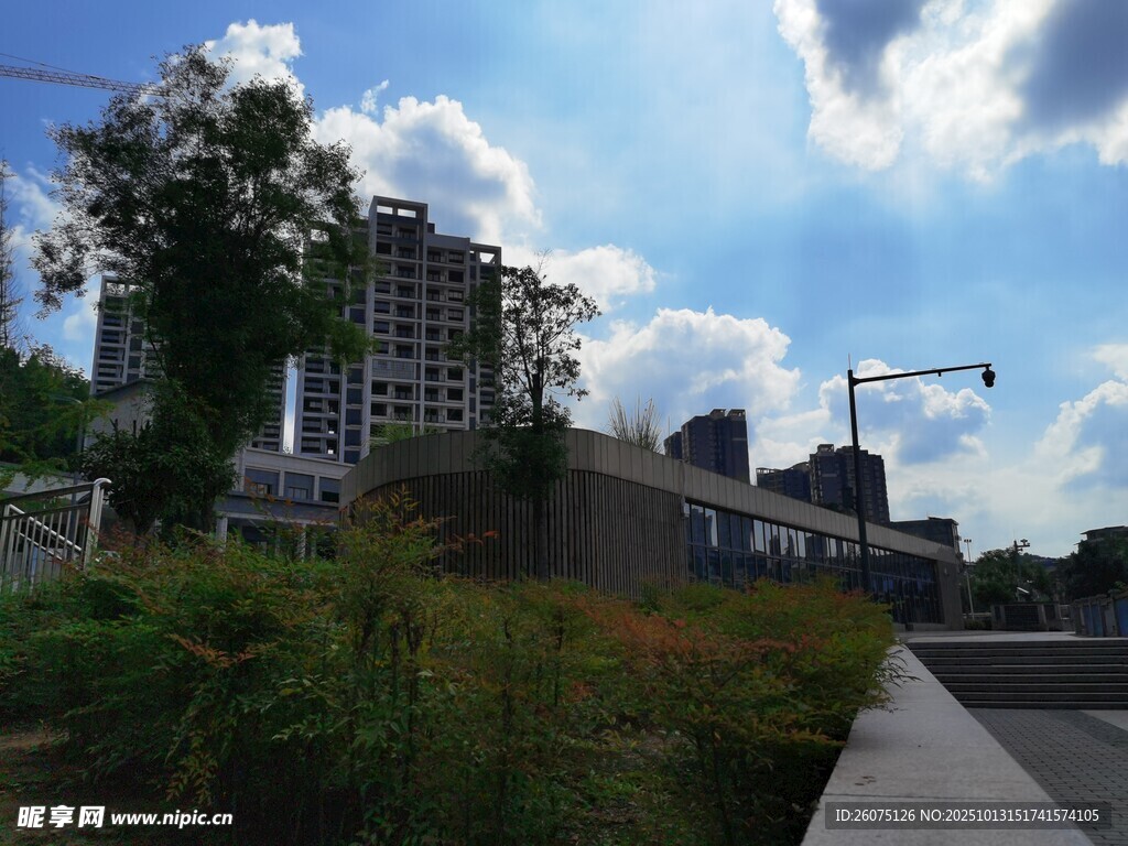 城市路边风景