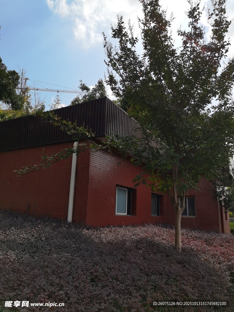 红墙绿树旁的小屋