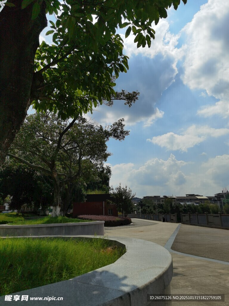 公园中的宁静户外景致